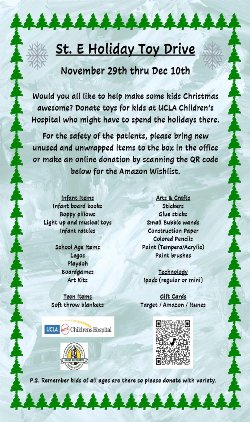 Toy Drive Info Flyer
